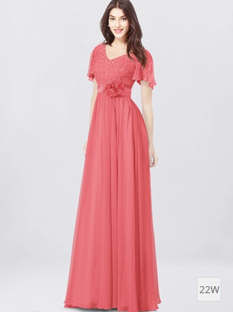 Chiffon Mother of the Bride Dress with Sleeves