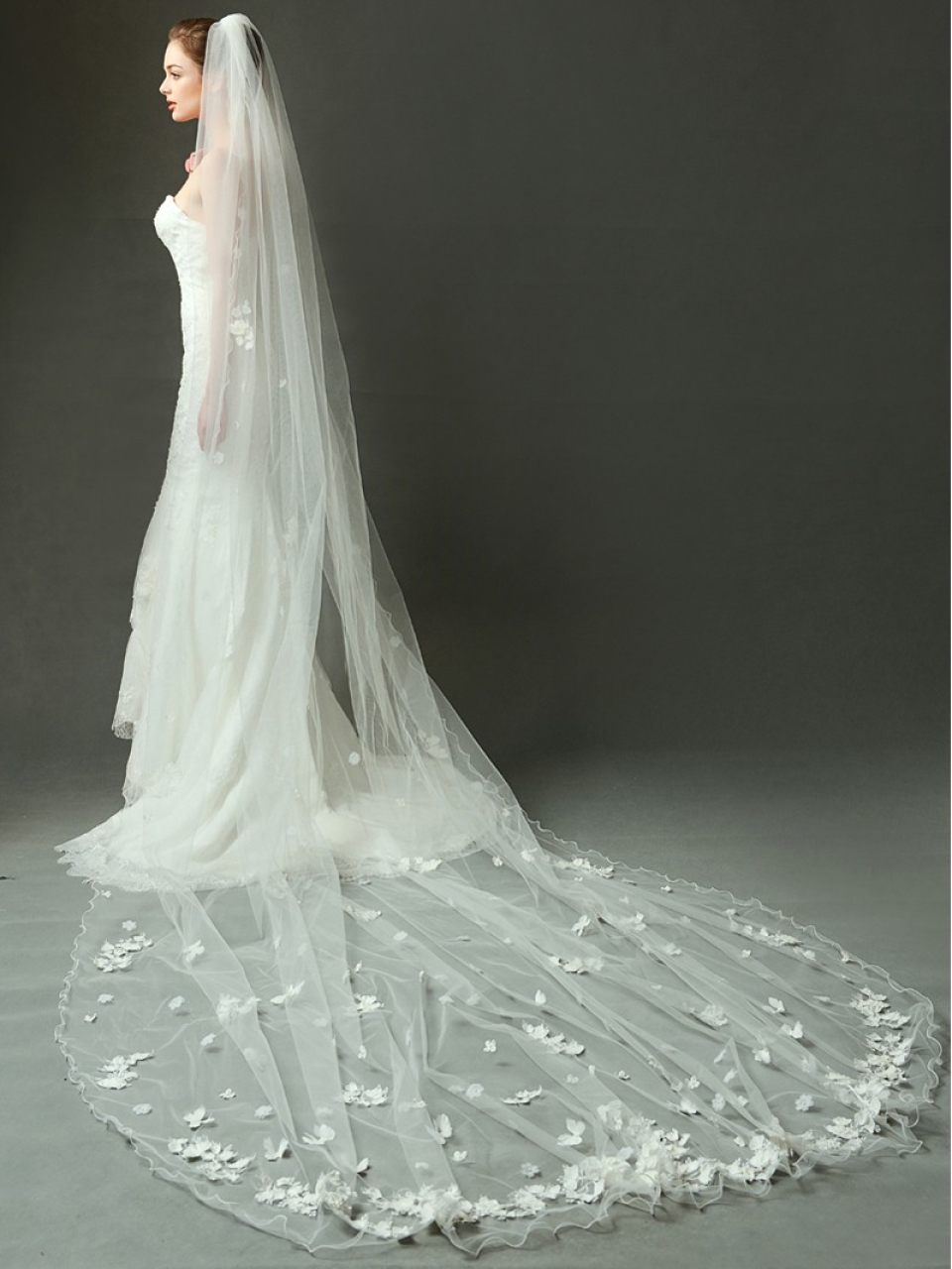 cathedral wedding veil