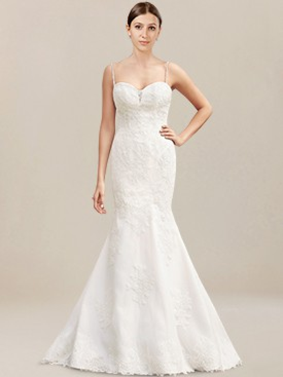lace wedding dress