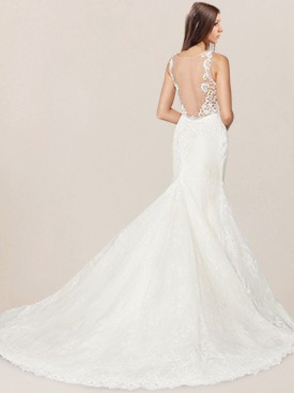lace wedding dress