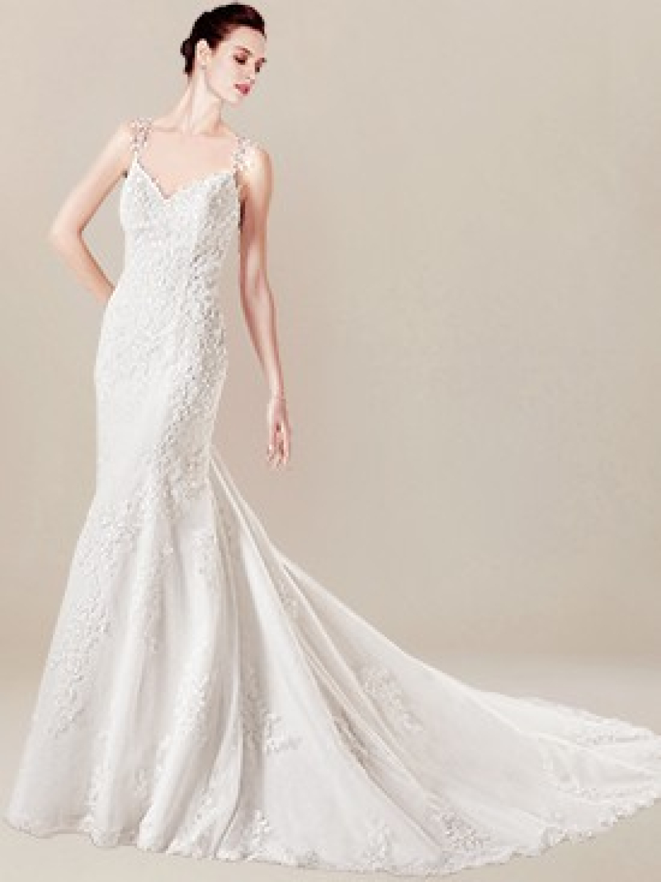 lace wedding dresses